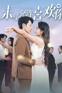 《未经允许喜欢你》封面
