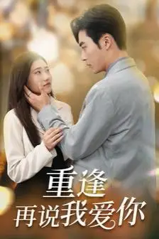 《重逢再说我爱你(你我已无可救药)》封面