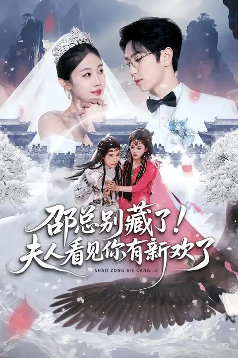 《邵总别藏了！夫人看见你有新欢了》封面