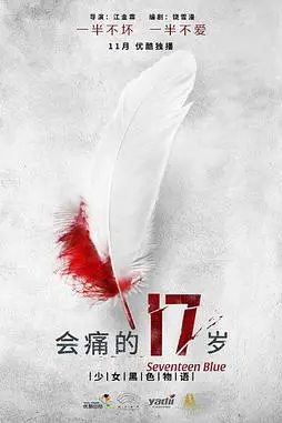 《会痛的17岁》封面