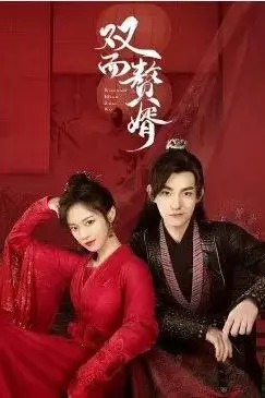 《双面赘婿》封面