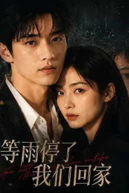 《等雨停了，我们回家》封面