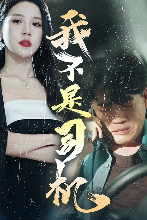 《我不是司机》封面