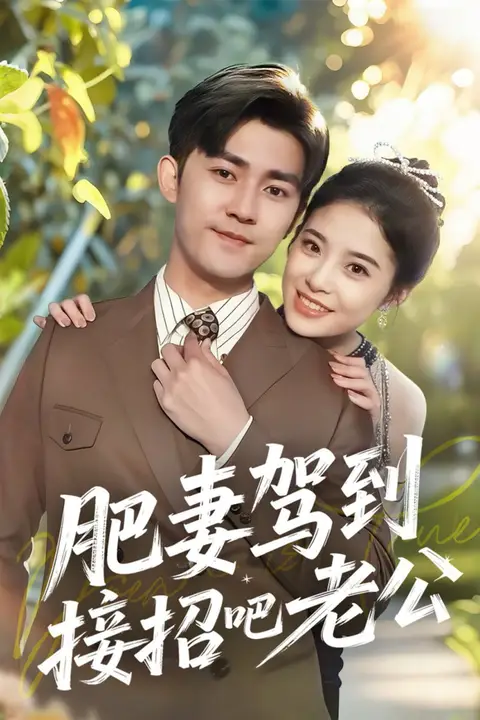 《肥妻驾到接招吧老公》封面