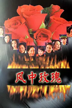 《风中玫瑰》封面