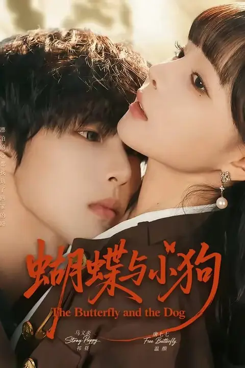 《蝴蝶与小狗》封面