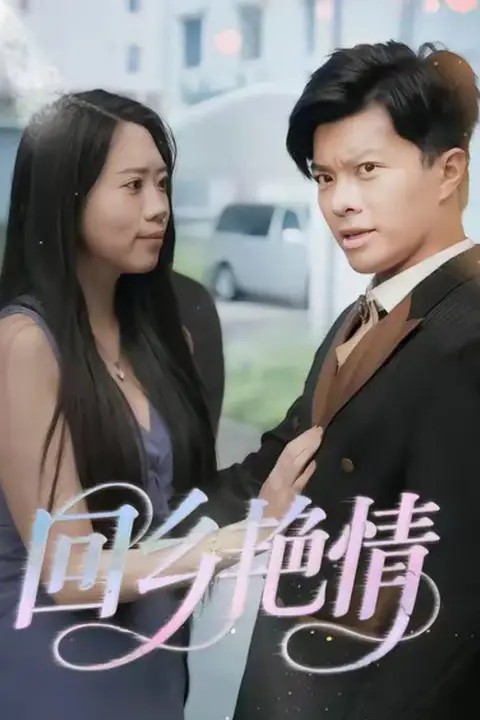 《回乡艳情》封面