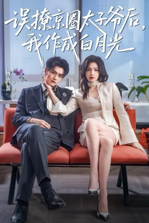 《误撩京圈太子爷后,我作成白月光》封面