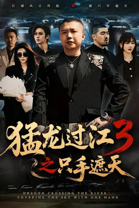 《猛龙过江 3 之只手遮天》封面