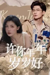 《许你年年岁岁好》封面