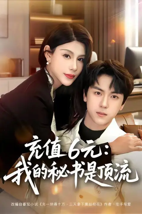 《充值6元：我的秘书是顶流》封面