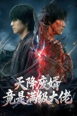 《天降废婿竟是满级大佬》封面
