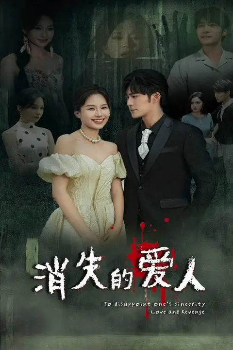 《消失的爱人》封面