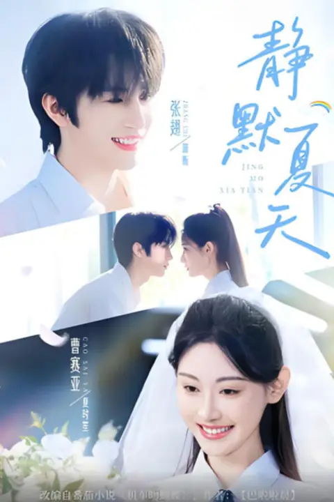 《静默夏天》封面