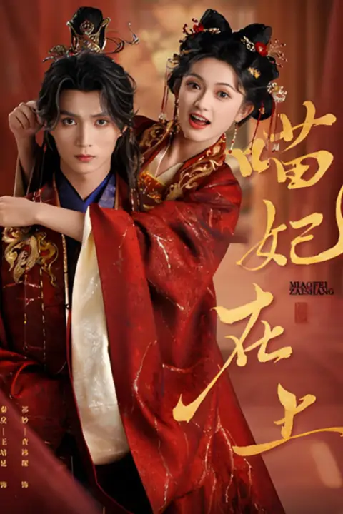 《喵妃在上》封面