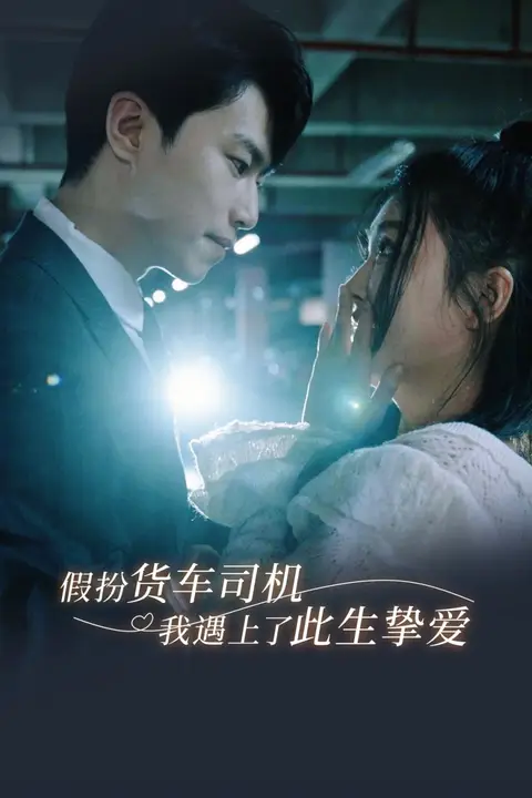 《假扮货车司机我遇上了此生挚爱》封面
