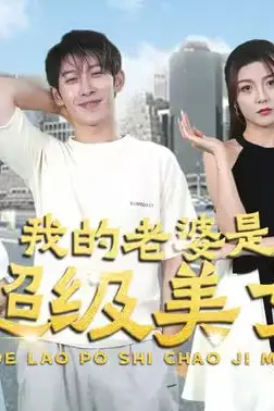 《我的老婆是超级美女》封面