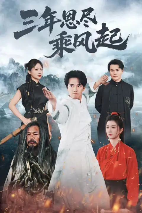 《三年恩尽乘风起》封面