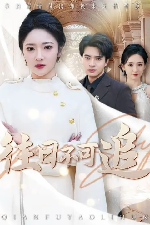 《往日不可追》封面