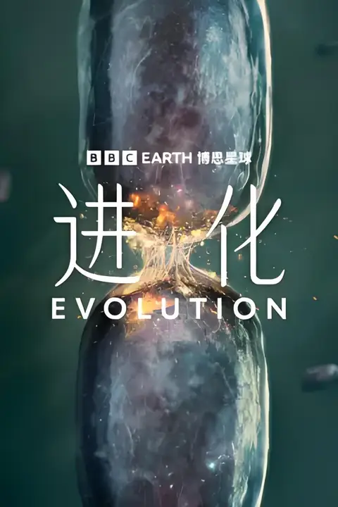 《进化(中配版)》封面