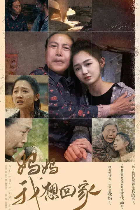 《妈妈我想回家（离离原上草）》封面