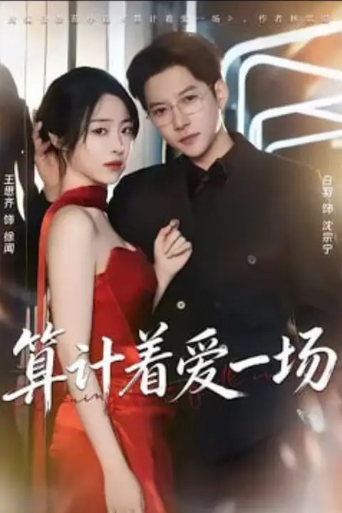 《算计着爱一场》封面