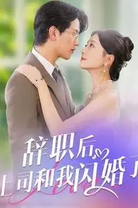 《辞职后上司和我闪婚了》封面