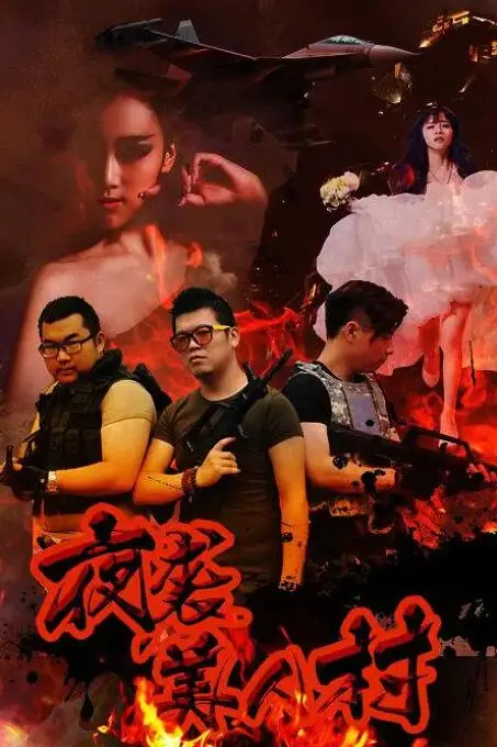 《夜袭寡妇村》封面