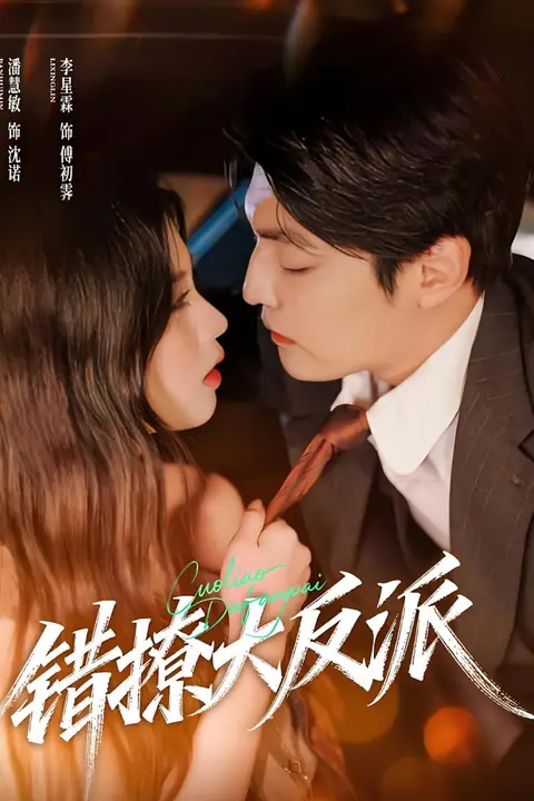 《错撩大反派》封面