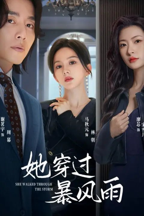 《她穿过暴风雨》封面