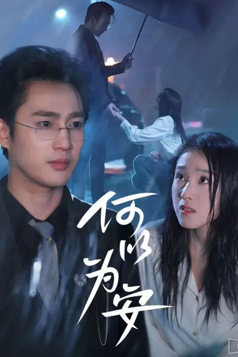 《何以为安》封面