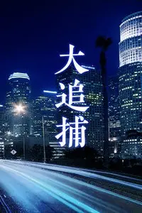 《大追捕》封面