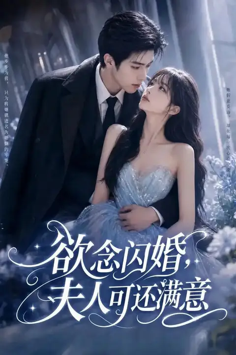《欲念闪婚,夫人可还满意》封面