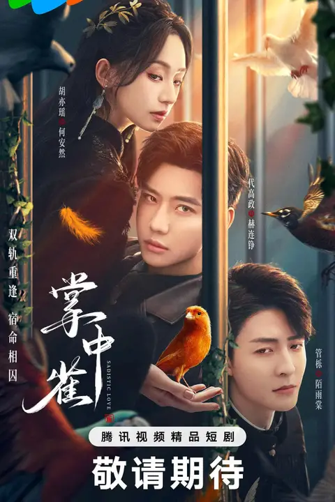 《掌中雀》封面
