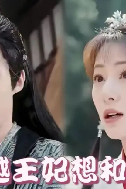 《穿越王妃想和离》封面