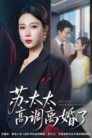 《苏太太高调离了》封面