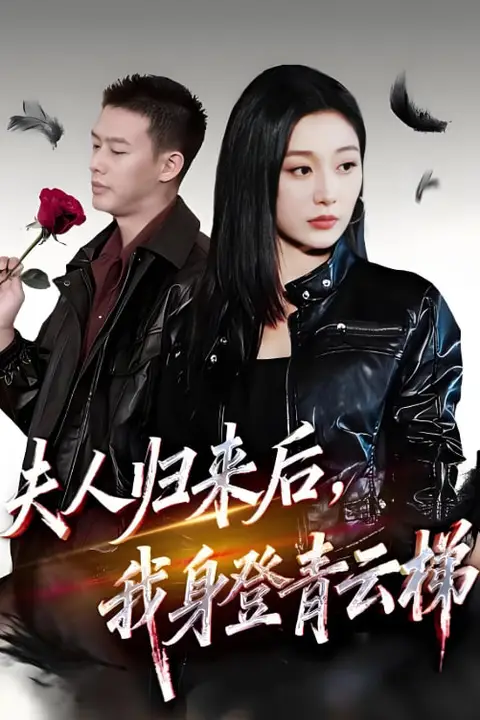 《夫人归来后我身登青云梯(夫人助我踏巅峰)》封面
