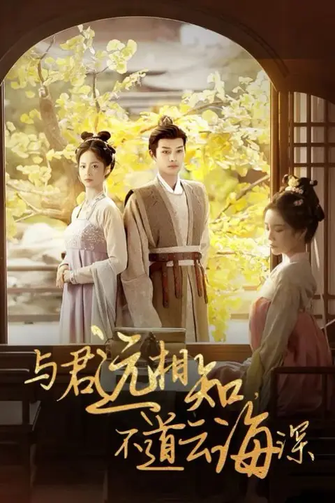 《与君远相知,不道云海深》封面