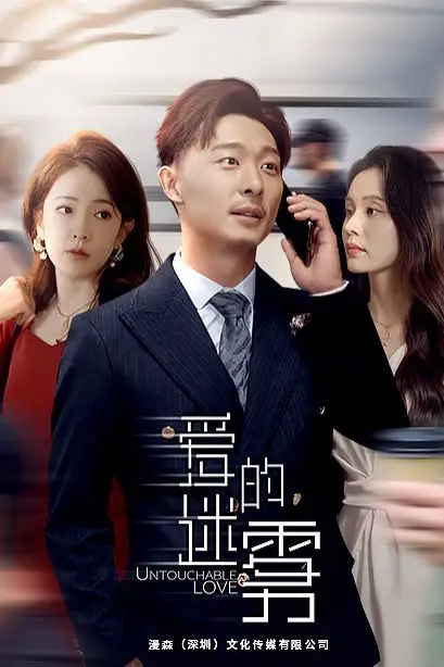 《爱的迷雾》封面