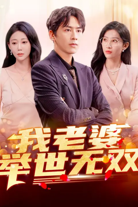 《我老婆举世无双》封面