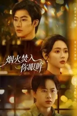 《烟火焚入你眼眸》封面