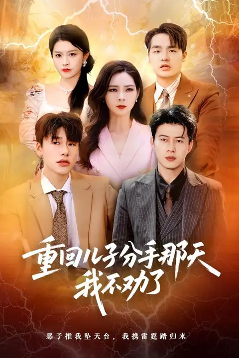 《重回儿子分手那天，我不劝了》封面