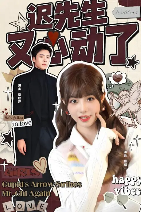 《迟先生又心动了》封面