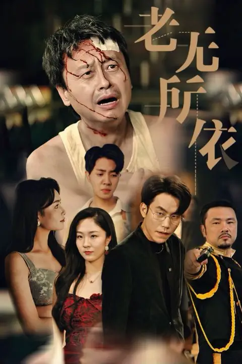 《老无所依》封面
