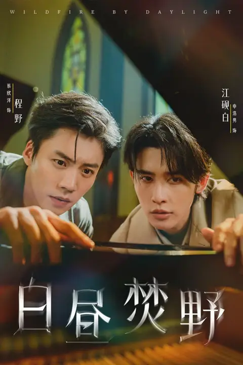 《白昼焚野》封面