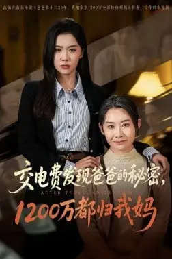 《交电费发现爸爸的秘密1200万都归我妈》封面