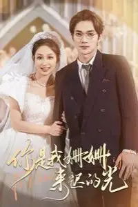 《你是我姗姗来迟的光》封面