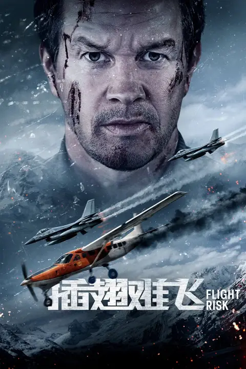 《插翅难飞 2025》封面