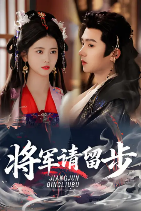 《将军请留步》封面