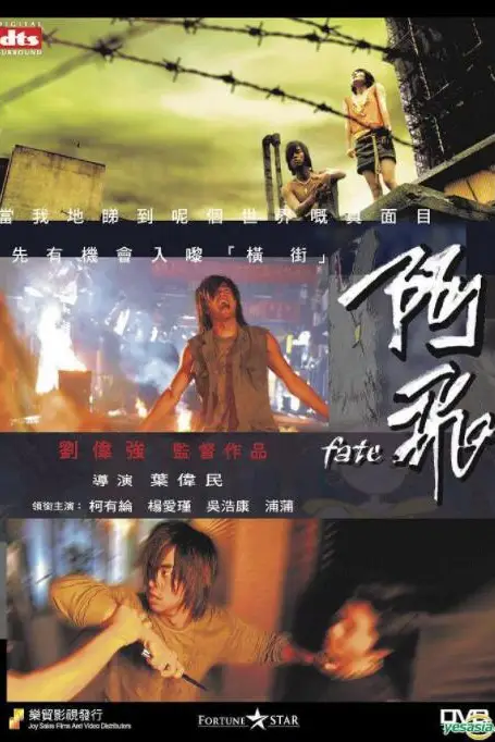 《阿飞》封面